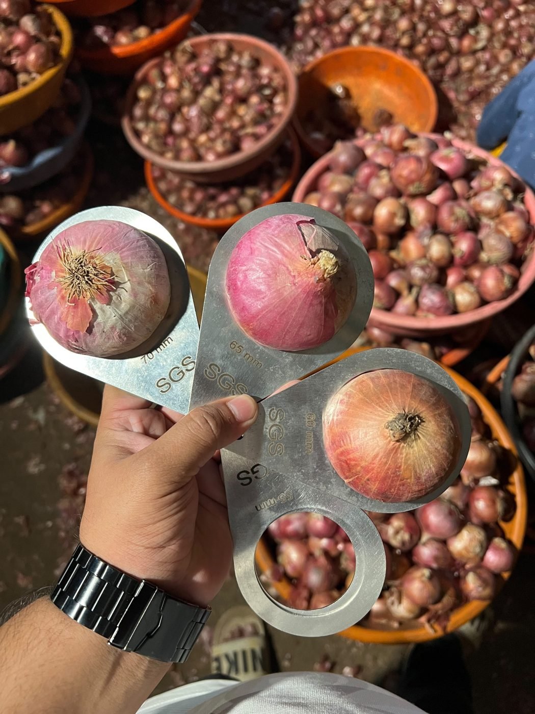 Onion size checking during sorting and grading