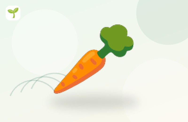 Carrot