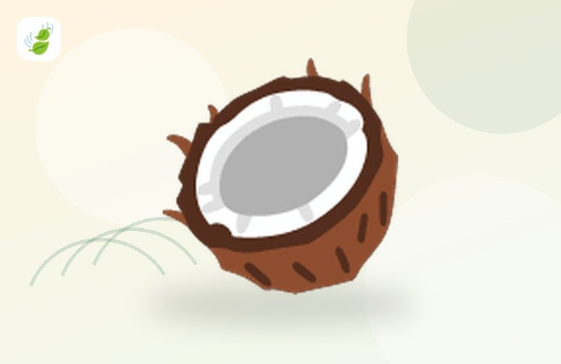 Semi-husked coconut