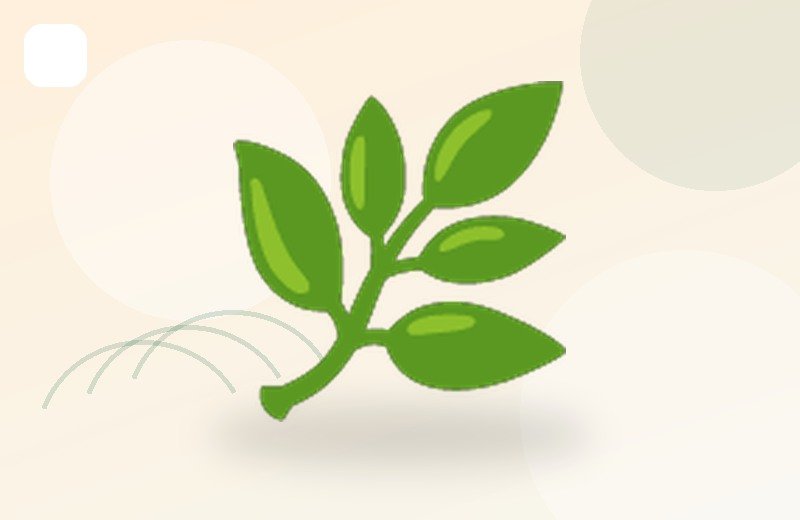 Green Cardamom