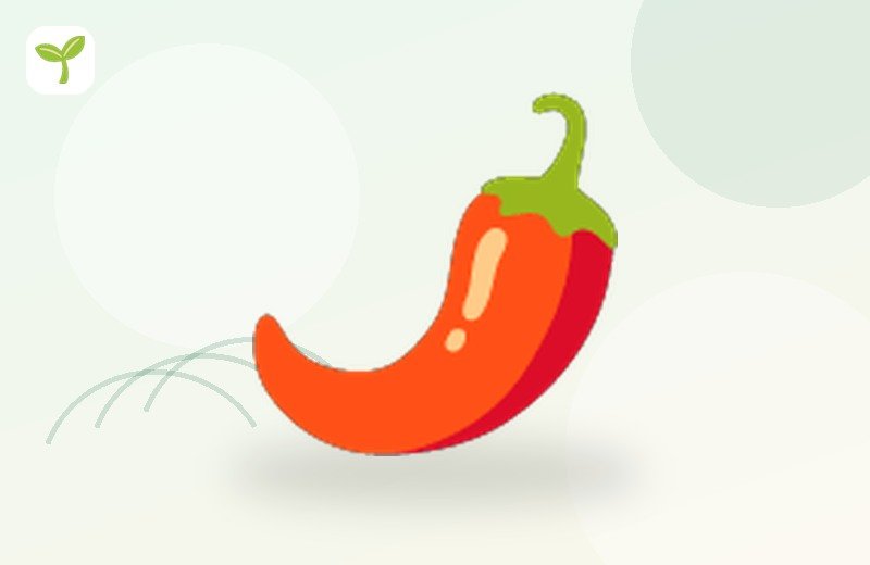 Green chilli