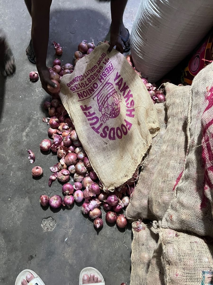 Indian Onion for B2B fresh produce trade